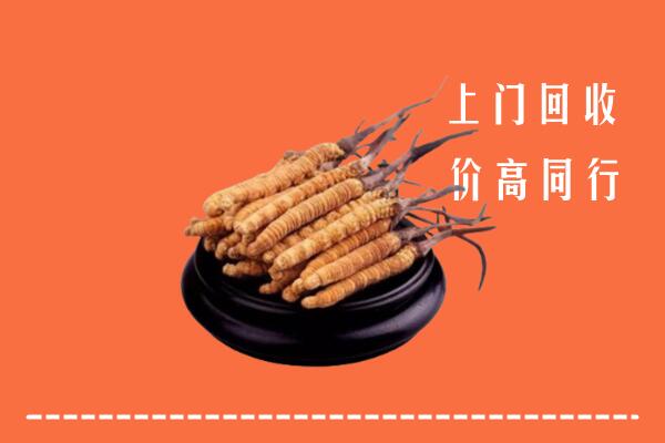 高价求购：邯郸武安市回收散虫草