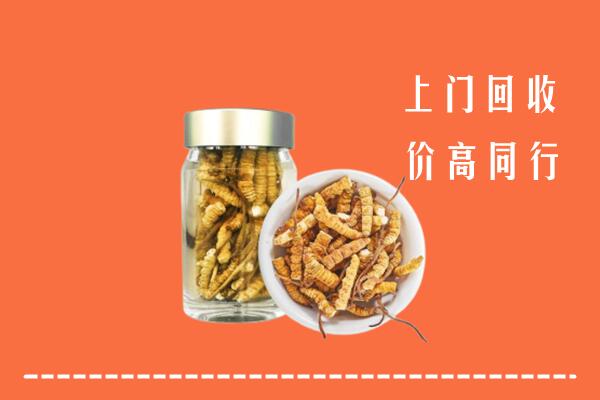邯郸武安市高价回收冬虫夏草